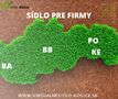 Virtualne sidlo Bratislava